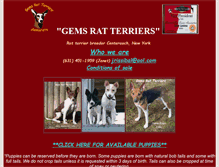 Tablet Screenshot of gemsrats.com